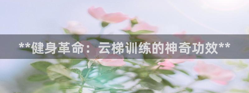 星奥娱乐集团股份有限公司：**健身革命：云梯训练的神