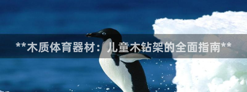 星欧娱乐扣费处理方法：**木质体育器材：儿童木钻架的