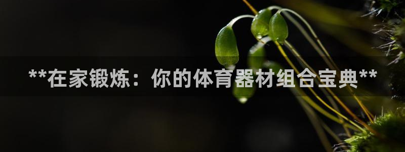 星欧娱乐是正规平台吗安全吗知乎：**在家锻炼：你的体