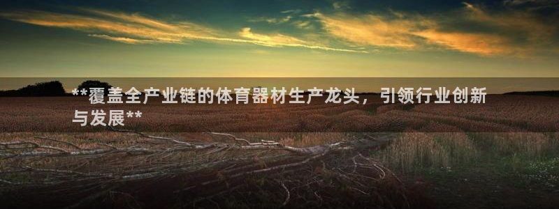 星奥娱乐招聘：**覆盖全产业链的体育器材生产龙头，引