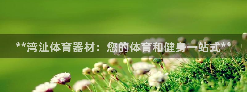 星欧娱乐属于什么档次的软件公司：**湾沚体育器材：您