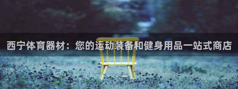 星奥娱乐艺人：西宁体育器材：您的运动装备和健身用品一
