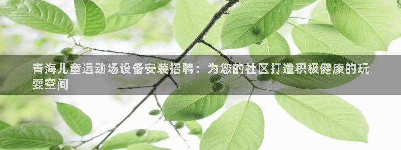 星欧娱乐属于什么档次的公司啊：青海儿童运动场设备安装