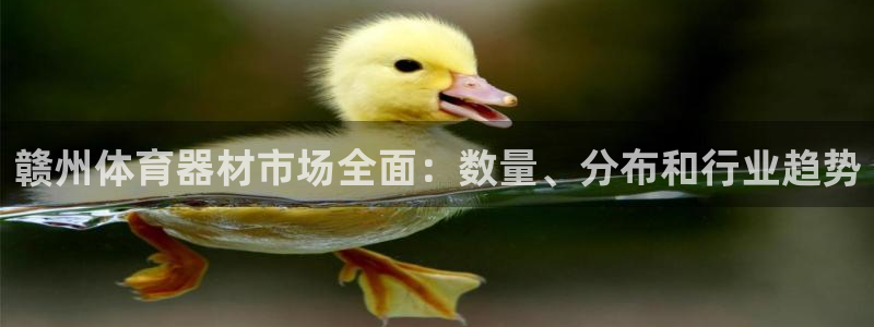 星乐娱乐官网：赣州体育器材市场全面：数量、分布和行业