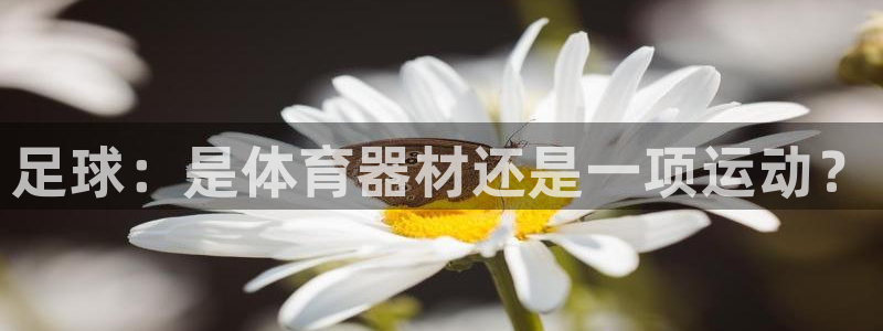 星娱乐online：足球：是体育器材还是一项运动？