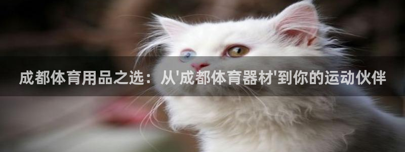 星欧娱乐平台
