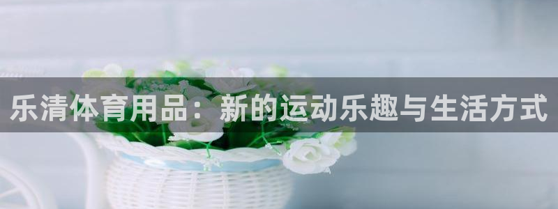 星娱乐文化传媒有限公司
