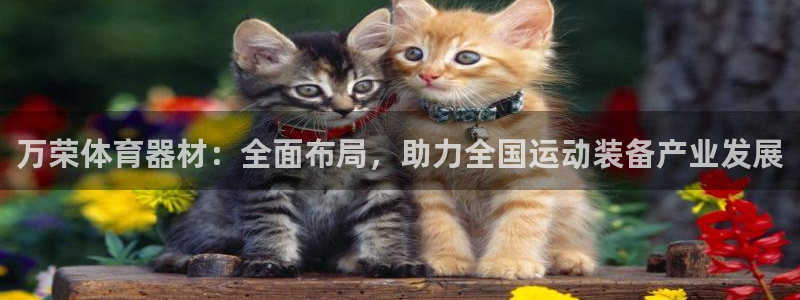 星欧娱乐扣款流程详解视频播放
