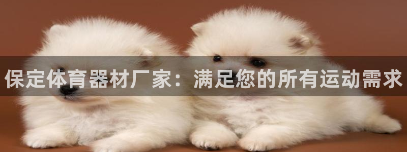 星欧娱乐平台过7O777：保定体育器材厂家：满足您的所有运动 