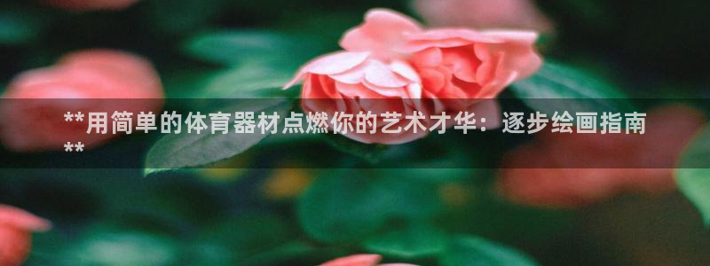 星欧娱乐联最新新闻：**用简单的体育器材点燃你的艺术才华：逐