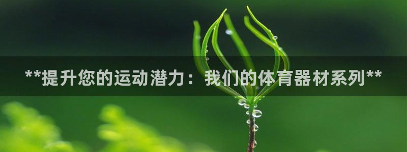 星欧娱乐公司地址：**提升您的运动潜力：我们的体育器材系列* 