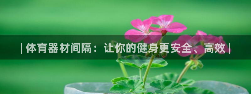 星欧娱乐最建议买的三个产品是：| 体育器材间隔：让你