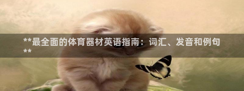 星欧娱乐扣款流程详解视频播放：**最全面的体育器材英