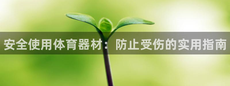 星欧娱乐平台方7O777：安全使用体育器材：防止受伤的实用指