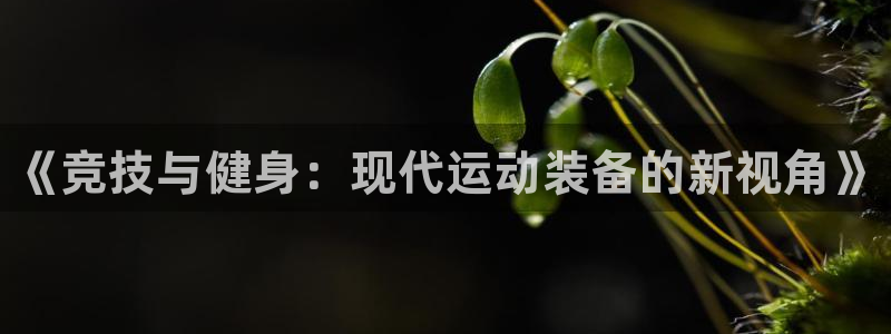 星欧娱乐游戏中心官网登录