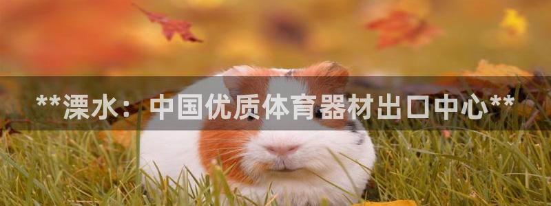 星欧娱乐是正规平台吗安全吗是真的吗：**溧水：中国优质体育器