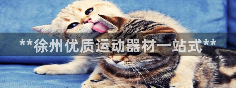 星欧娱乐是正规平台吗安全吗是真的吗：**徐州优质运动