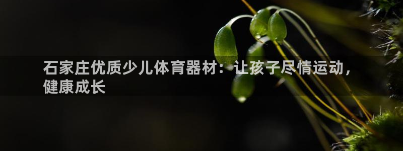 星欧娱乐扣款时间查询方法是什么样的：石家庄优质少儿体