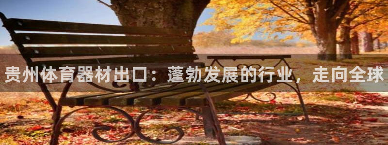 星欧娱乐公司地址：贵州体育器材出口：蓬勃发展的行业，