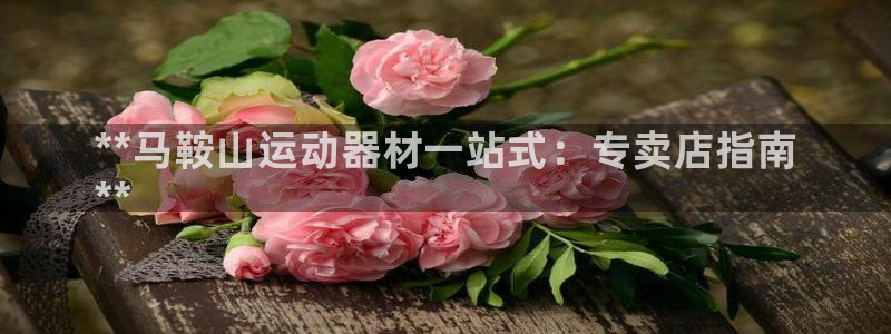 星欧娱乐联和哪个品牌合作：**马鞍山运动器材一站式：专卖店指