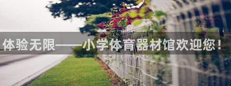 星欧娱乐最建议买的三个产品是什么：体验无限——小学体