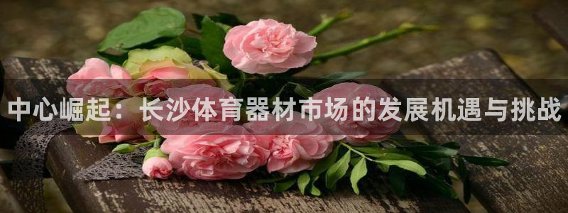 星奥娱乐待遇怎么样：中心崛起：长沙体育器材市场的发展