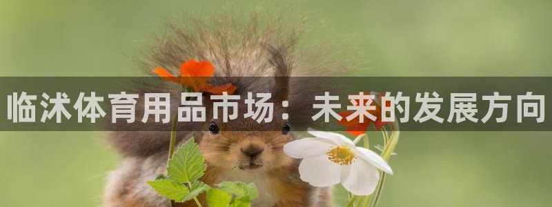 星欧娱乐挂机赚钱：临沭体育用品市场：未来的发展方向