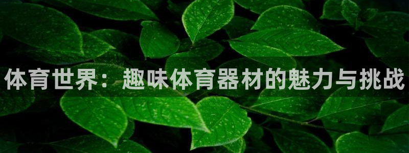 星欧娱乐扣款流程详解图：体育世界：趣味体育器材的魅力