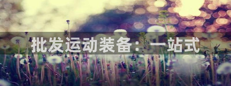 星欧娱乐平台方7O777：批发运动装备：一站式