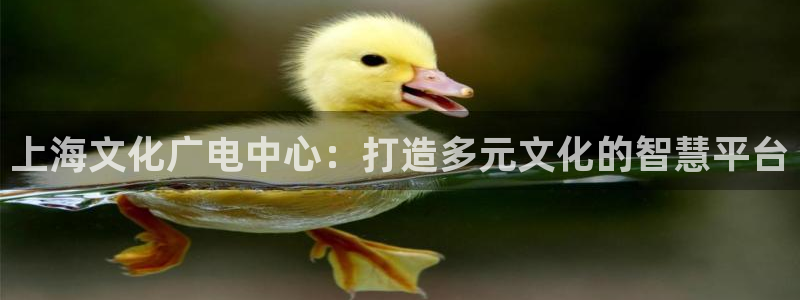 海狮影视