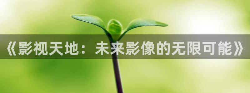 海狮视频下载：《影视天地：未来影像的无限可能》
