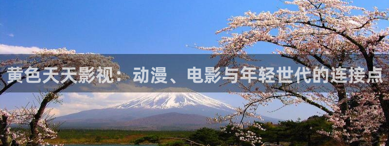海狮视频电视剧免费观看全集