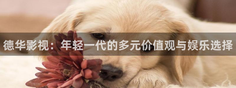 海狮影视